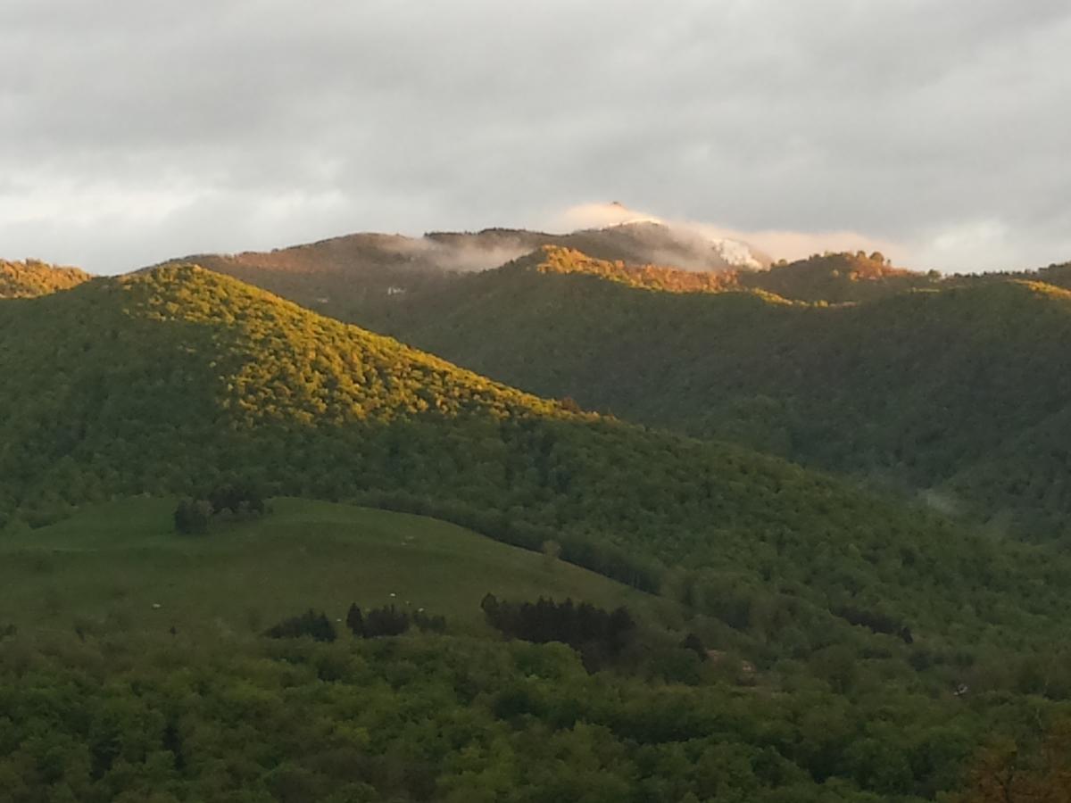 Hotel Rondanino Lanzo dʼIntelvi Екстериор снимка